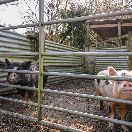 Heligan